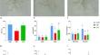 Integrative analyses of long and short-read RNA sequencing reveal the spliced isoform regulatory network of seedling growth dynamics in upland cotton