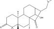 DGA ameliorates severe acute pancreatitis through modulating macrophage pyroptosis.