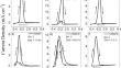 Quantification of Deleterious Phase Precipitation in a Hyper Duplex Stainless Steel Aged at 700-950 °C Using Optimized Linear Sweep Voltammetry: Effect of KOH Concentration