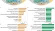 Identifying new molecular signatures and potential therapeutics for idiopathic pulmonary fibrosis: a network medicine approach