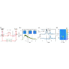 Correlating light fields through disordered media across multiple degrees of freedom