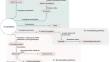 Tryptophan Signaling Molecules in Children with Different Developmental Dynamics of Obesity