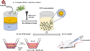 Fabrication of Luteolin Nanoemulsion by Box-Behnken Design to Enhance its Oral Absorption Via Lymphatic Transport.