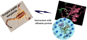 Kinetic and Thermodynamic Study of Margatoxin Peptide Interaction with Human Serum Albumin: Studied by Biophysical and Docking Methods