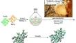 Gold Nanoparticles Supported Over Biodegradable gum acacia Modified Magnetic Nanoparticles: Characterization and Evaluation of Antioxidant, Cytotoxicity, and Anti-Rheumatoid Arthritic Properties