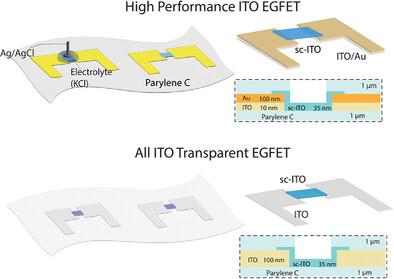 Ultrathin Indium Tin Oxide Accumulation Mode Electrolyte‐Gated Transistors for Bioelectronics