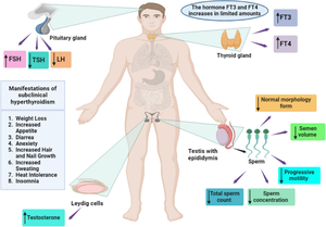 Meta-Analytical and Meta-Regression Evaluation of Subclinical Hyperthyroidism's Effect on Male Reproductive Health: Hormonal and Seminal Perspectives.