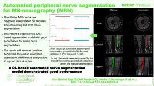 Automated peripheral nerve segmentation for MR-neurography.