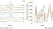 Influence of Irradiation with Accelerated Electrons on the Physical Properties of Polyethylene Terephthalate