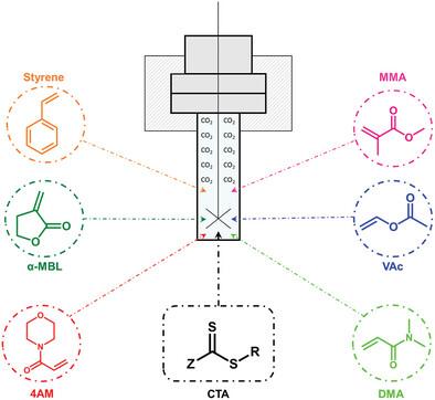 Reversible Addition‐Fragmentation Chain‐Transfer Polymerization in Supercritical CO2: A Review