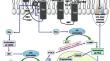 Physiological and metabolic functions of the β<sub>3</sub>-adrenergic receptor and an approach to therapeutic achievements.