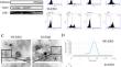 Exosomal miR-21-5p derived from endometrial stromal cells promotes angiogenesis by targeting TIMP3 in ovarian endometrial cysts.