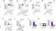 METTL14 inhibits Aβ1-42-induced neuronal injury through regulating the stability of CBLN4 mRNA in Alzheimer's disease.