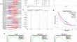 NUSAP1 promotes gastric cancer radioresistance by inhibiting ubiquitination of ANXA2 and is suppressed by miR-129-5p.