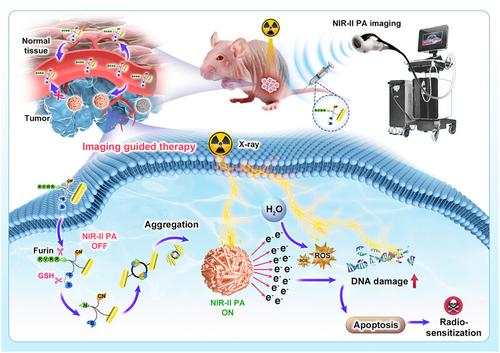 Biomarker‐induced gold aggregates enable activatable near‐infrared‐II photoacoustic image‐guided radiosensitization