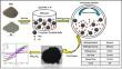 Enhancement of Coercivity in α-Mn(Al) Magnetic Nanopowders Processed by High-Energy Ball Milling