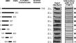 Transcriptional activation domains interact with ATPase subunits of yeast chromatin remodelling complexes SWI/SNF, RSC and INO80.