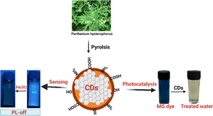 Harnessing carbon dots from parthenium weed for photocatalytic degradation of malachite green and Fe3+ ion sensing