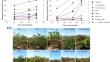 Assessment of Resistance to Late Blight (Phytophthora infestans (Mont.) de Bary) in Chilean Native Potatoes (Solanum tuberosum Chilotanum group)