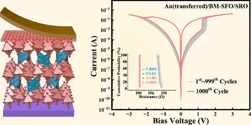 Validation of van der Waals Interface for Enhanced Resistive Switching Performance in Memristor by Using Topotactic Phase Transition Material