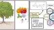 Green synthesis of chitosan nanoparticles using <i>Cassia fistula</i> leaf extract: evaluation of antimicrobial, antioxidant, antibiofilm, and cytotoxic activities.