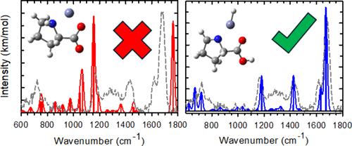 Rearrangement of Proline Complexes with Zn2+: An Infrared Multiple Photon Dissociation and Theoretical Investigation