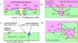 Nanocomposites of Magnesium Metal Matrices with Potential Medicinal Uses: A Review