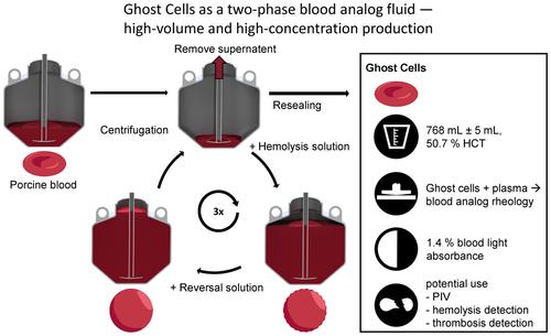 Ghost cells as a two-phase blood analog fluid-high-volume and high-concentration production.