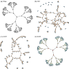 Network compression with configuration models and the minimum description length