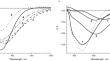 Femtosecond Dynamics of the Excited Primary Electron Donor in Reaction Centers of the Purple Bacterium Rhodobacter sphaeroides