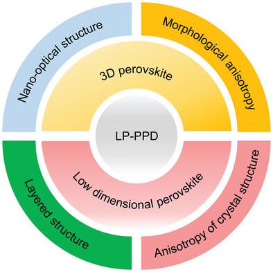 Recent Advances in Linear Polarization‐Sensitive Photodetectors Based on Perovskites with Different Molecular Dimensions