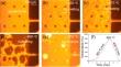 One-Step Heat Treatment for Effective Separation of Ag from Si Solar Cells