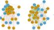 Network Analysis of Cognitive-Behavioral Symptom Connectivity in OCD Subtypes: Evaluating SSRI Treatment Response and Resistance