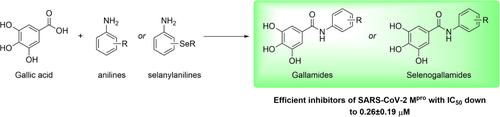 Synthesis, in vitro and in silico evaluation of gallamide and selenogallamide derivatives as inhibitors of the SARS-CoV-2 main protease.