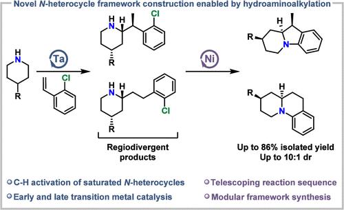 Tantalum Catalyzed Hydroaminoalkylation Enables a Telescoping Catalytic Reaction Sequence for the Synthesis of Benzoannulated Indolizidines and Quinolizidines