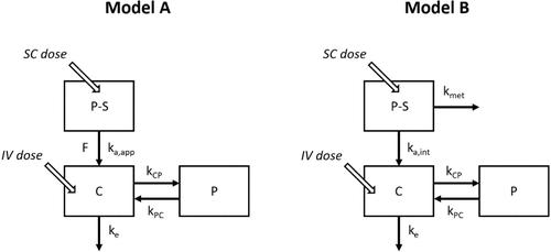 Predicting Human Subcutaneous Bioavailability of Therapeutic Monoclonal Antibodies from Systemic Clearance and Volume of Distribution.