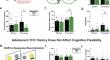 Adolescent THC impacts on mPFC dopamine-mediated cognitive processes in male and female rats.