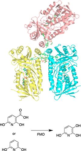 Structural and Functional Characterization of a Novel Class A Flavin Monooxygenase from Bacillus niacini