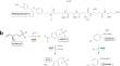 Molecular basis of hyper-thermostability in the thermophilic archaeal aldolase MfnB.