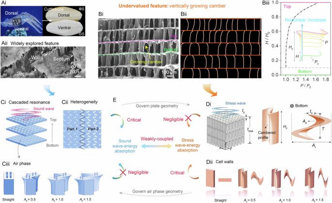 Unprecedented mechanical wave energy absorption observed in multifunctional bioinspired architected metamaterials