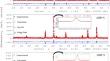 Preparation of Ni-Zn Ferrite Nanoparticles and Study of Their Properties for Optoelectronic Applications