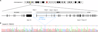 A 3000-year-old founder variant in the DRC1 gene causes primary ciliary dyskinesia in Japan and Korea.