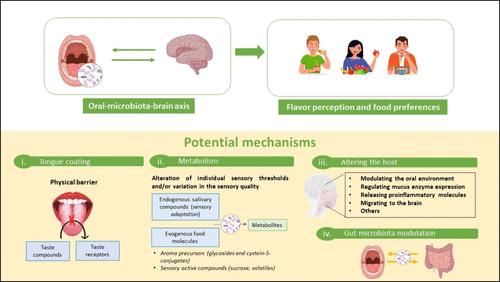 The Oral Microbiota–Brain Axis: A New Paradigm to Understand Flavor Perception and Food Preferences?