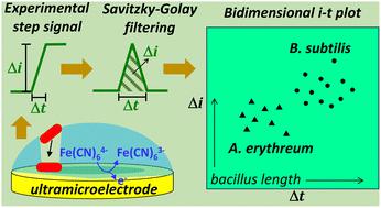 Savitzky–Golay processing and bidimensional plotting of current–time signals from stochastic blocking electrochemistry to analyze mixtures of rod-shaped bacteria†
