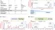 Three cases of relapsed eosinophilic sinusitis without eosinophilia during mepolizumab maintenance therapy for eosinophilic granulomatosis with polyangiitis.