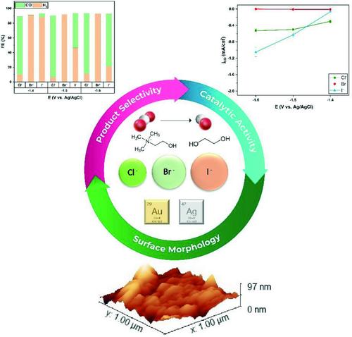 Effect of Halide Anions on Electrochemical CO2 Reduction in Non‐Aqueous Choline Solutions using Ag and Au Electrodes