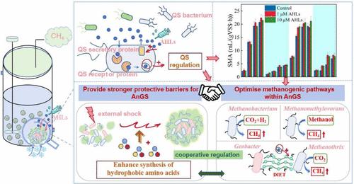 New Insights into the Persistent Shock Resistance of Anaerobic Granular Sludge Based on Quorum Sensing Regulation: A Novel Gene Regulatory Mechanism