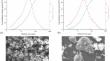 Effects of superplasticizer on properties of calcined ginger nuts-based grouting material for earthen site cracks