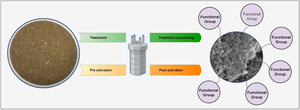 Nanofabrication of Biochar from Cellulosic Waste for Bio-Sensing Application of Waste Water Treatment: Process, Challenges and Future Update