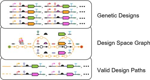 GOLDBAR: A Framework for Combinatorial Biological Design.